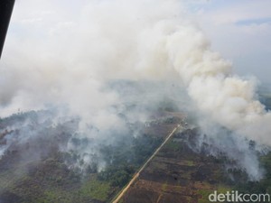 Kebakaran Ribuan Hektare Hutan di Kalbar Diduga Disengaja