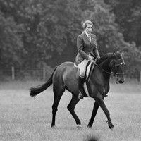 Potret Putri Anne saat berlatih dengan kuda kesayangannya, Purple Star, di Kent, Inggris, pada 1968. (Foto: Getty Images)