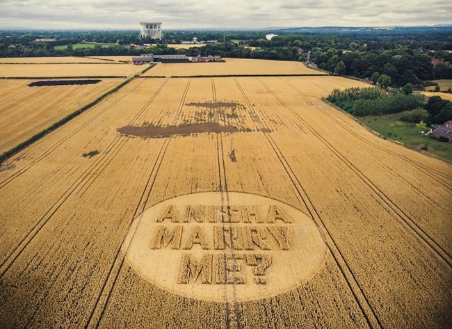 Tertulis Anisha, marry me? di atas ladang jagung yang bisa terlihat dari atas helikopter. Varun sengaja membuatnya di atas ladang jagung demi membuatnya terlihat seperti pesan dari alien yang biasa ada di cerita science-fiction, demi sang kekasih. Foto: Dok. Facebook/Varun Bhanot