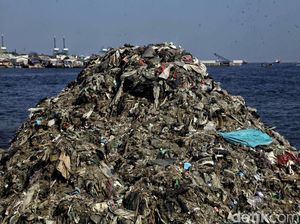 Miris! Potret Gunungan Sampah di Pesisir Jakarta