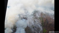 Asap putih membubung tinggi, sumbernya dari kebakaran hutan. Foto: Pentak Lanud Supadio