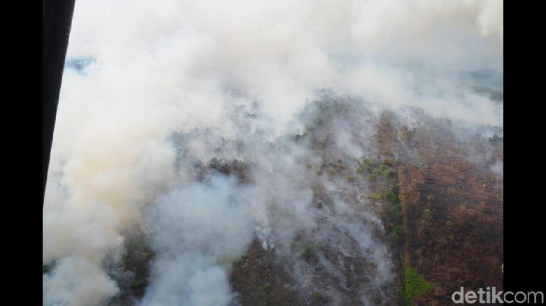 Sebutkan Upaya Apa Yang Harus Dilakukan Ketika Terjadi Kebakaran Hutan