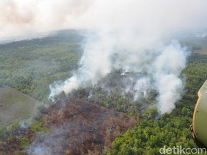 Karhutla di Kalbar Meluas, 4 Daerah Terdampak