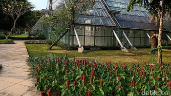 Foto: Adi Fida Rahman/detikINET