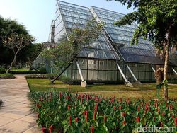 Ini Hasil Jepretan Oppo F9