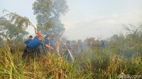 Saat ini tim satgas darat dan udara sudah berada di lokasi untuk pemadaman. (Raja Adil/detikcom)