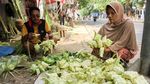 Jelang Idul Adha Kulit Ketupat Diburu Pembeli