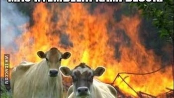 Berani sembelih mereka? (Foto: internet)