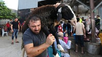 Warga antusias menyaksikan proses pemotongan hewan qurban di kota Gaza, Palestina. Ibraheem Abu Mustafa/Reuters.