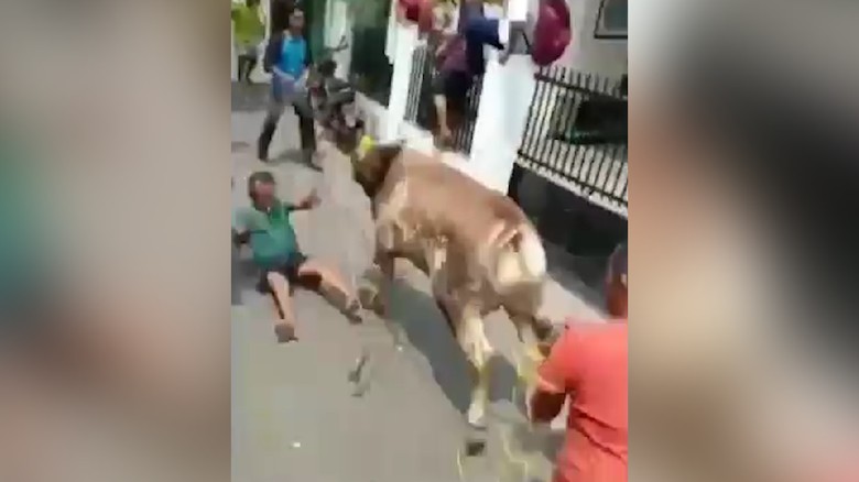 Lepas dari Ikatan, Sapi Kurban Mengamuk di Matraman Lepas dari Ikatan, Sapi Kurban Mengamuk di Matraman