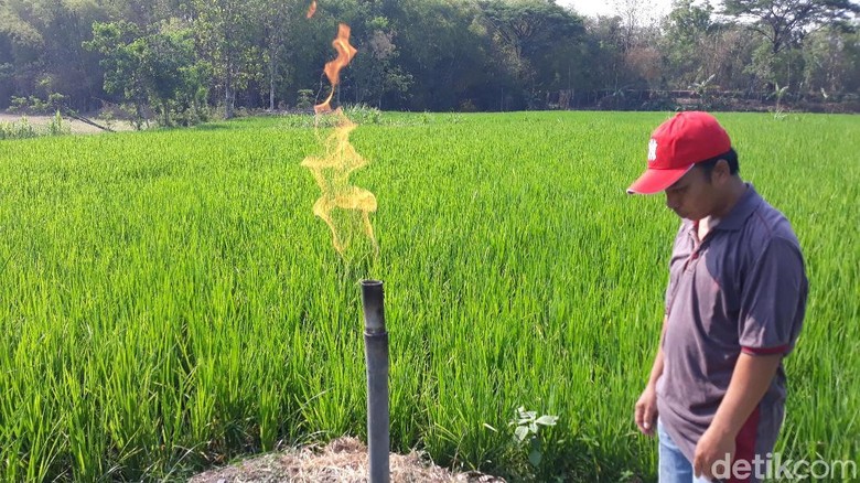 Muncul Satu Lagi Semburan Gas Baru di Ngawi, Lokasi di Tengah Sawah Muncul Satu Lagi Semburan Gas Baru di Ngawi, Lokasi di Tengah Sawah