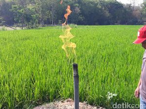 Video: Muncul Lagi Semburan Gas Baru di Ngawi