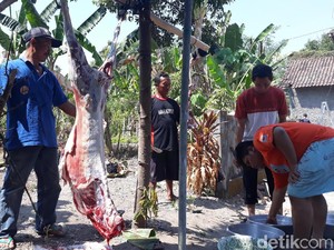Ratusan Warga Magetan Gelar Salat Id dan Sembelih Hewan Kurban