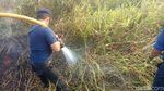 Aksi Pemadaman Kebakaran Lahan di Dekat Wisma Atlet Jakabaring