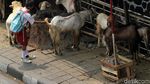 Berbagi Jalan dengan Si Embe