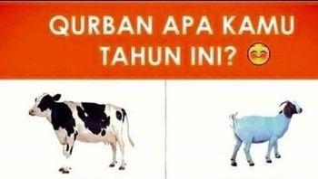 Apa pilihan kamu? (Foto: internet)