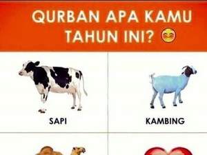 Siap-siap Ngakak! Deretan Meme Kocak Hewan Kurban