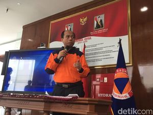 Ini 2 Penyebab Tsunami di Palu