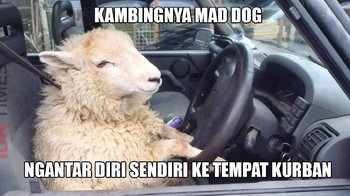 Kalau kambing beneran kayak gini, gimana ya? Foto: Internet