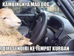 Kumpulan Meme Idul Adha, Awas Baper!