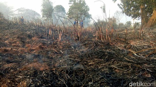 Gubernur Sumsel Cek Kebakaran Lahan Dekat Wisma Atlet Jakabaring