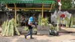 Jelang Idul Adha Kulit Ketupat Diburu Pembeli
