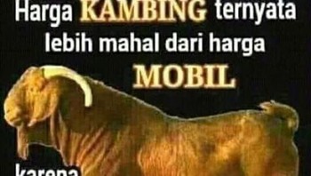 Hmmmm, ayo siapa yang begini. (Foto: internet)