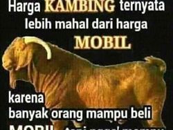 Meme Jenaka Jelang Idul Adha