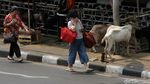 Berbagi Jalan dengan Si Embe