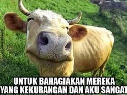 Meme Jenaka Jelang Idul Adha
