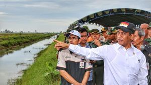 Ini Saran Kementan Kelola Rawa Lebak untuk Pertanian