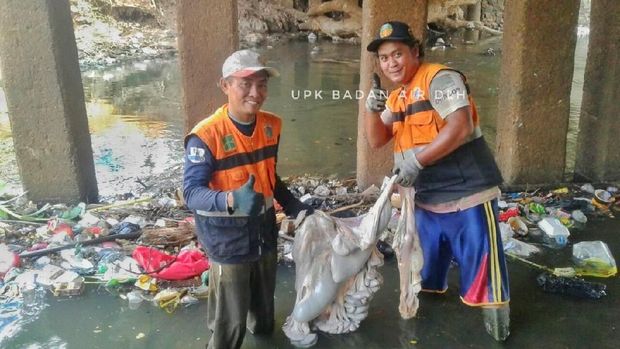 Sampah TV Hingga Jeroan Sapi Kurban Ditemukan di Kali Pesanggrahan