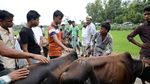 Melihat Perayaan Hari Raya Idul Adha Warga Rohingya