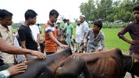 Para warga datang berbondong-bondong dan antusias untuk melihat proses penyembelihan hewan qurban. Mohammad Ponir Hossain/Reuters.