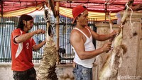 Dua orang warga sedang menguliti kulit kambing yang telah disembelih.