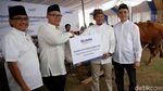Mandiri Sumbang Hewan Kurban Untuk Korban Gempa NTB