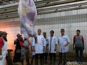 Melihat Proses Pemotongan Hewan Kurban di RPH PD Dharma Jaya