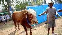 Pada Hari Raya Idul Adha 1439 H ini Mandiri menyumbangkan sebanyak 754 ekor sapi dan 1.662 ekor kambing untuk masyarakat kurang mampu lintas agama dan penyandang difabilitas di wilayah Jabodetabek dan di seluruh Indonesia.