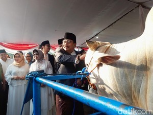 Serahkan Sapi Kurban Jokowi, Ini Pesan Pakdhe Karwo dan Khofifah