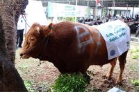 Komix Herbal Peduli Sesama