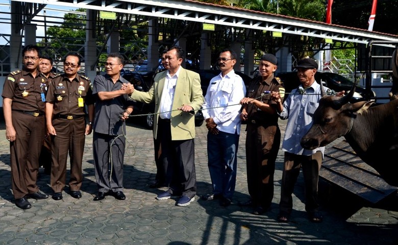 Kemendes Serahkan 7 Ekor Sapi Kurban di Bengkulu Kemendes Serahkan 7 Ekor Sapi Kurban di Bengkulu