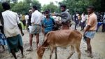 Melihat Perayaan Hari Raya Idul Adha Warga Rohingya
