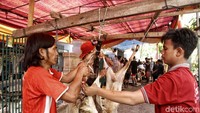 Usai disembelih hewan kurban tersebut dibersihkan untuk dibagi-bagikan dagingnya.