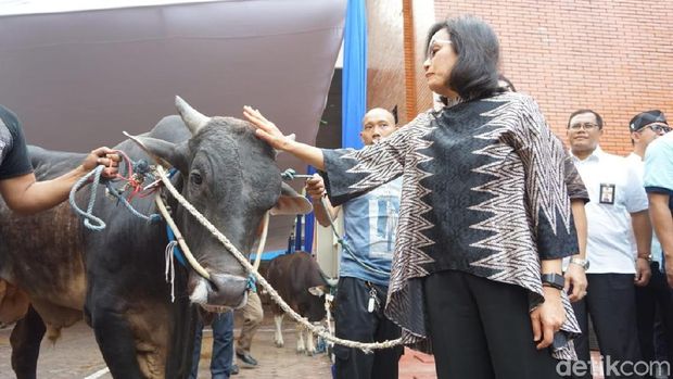 Pakai Batik, Sri Mulyani Saksikan Kurban Sapi di Gedung Kemenkeu