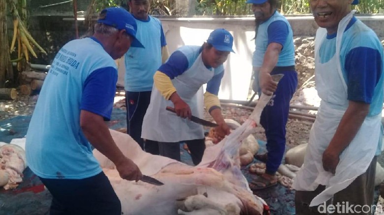 Berdayakan Peternak Lokal, Dompet Dhuafa Target 30 Ribu Hewan Kurban Berdayakan Peternak Lokal, Dompet Dhuafa Target 30 Ribu Hewan Kurban