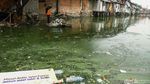 Sampah di Kali Ciliwung Terus Dibersihkan