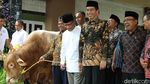 Jokowi Serahkan Dua Sapi Limosin ke PP Muhammadiyah