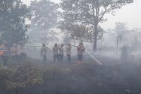 Kapolda Kalbar meminta masyarakat untuk melapor ke aparat jika mengetahui ada orang yang membakar lahan