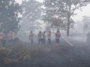 Tanggapan 3 Perusahaan yang Disegel KLHK di Kalbar Terkait Karhutla