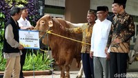 Presiden Joko Widodo (Jokowi), menyerahkan hewan kurban saat bersilaturahmi ke kantor PP Muhammadiyah, Jakarta, Kamis (23/08/2018).